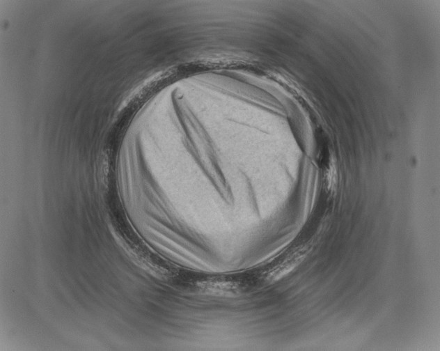 X0000080810448200701051154