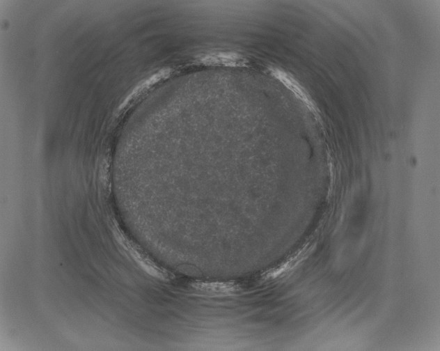 X0000080810449200701051154