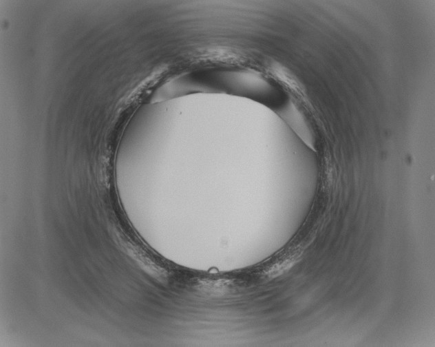 X0000080810450200701051154