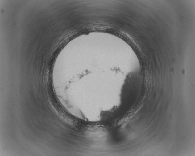 X0000080810451200701051154