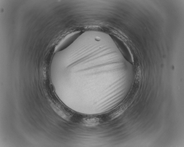 X0000080810452200701051154