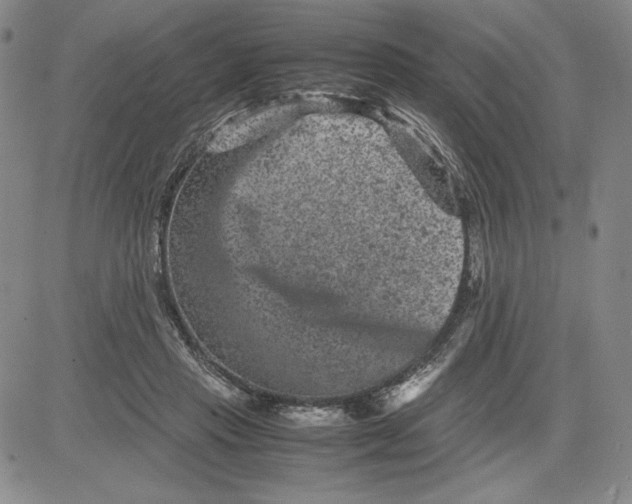 X0000080810453200701051154