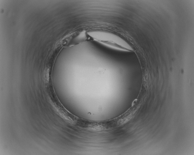 X0000080810454200701051154