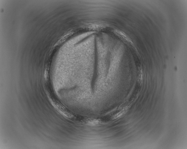 X0000080810456200701051154