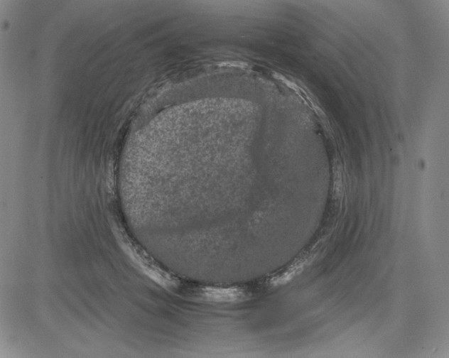 X0000080810457200701051154