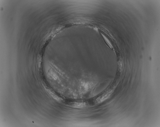 X0000080810458200701051154