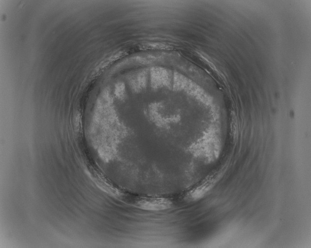 X0000080810459200701051154