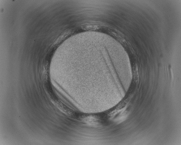 X0000080810460200701051154