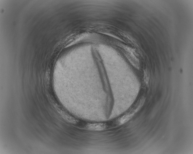 X0000080810461200701051154