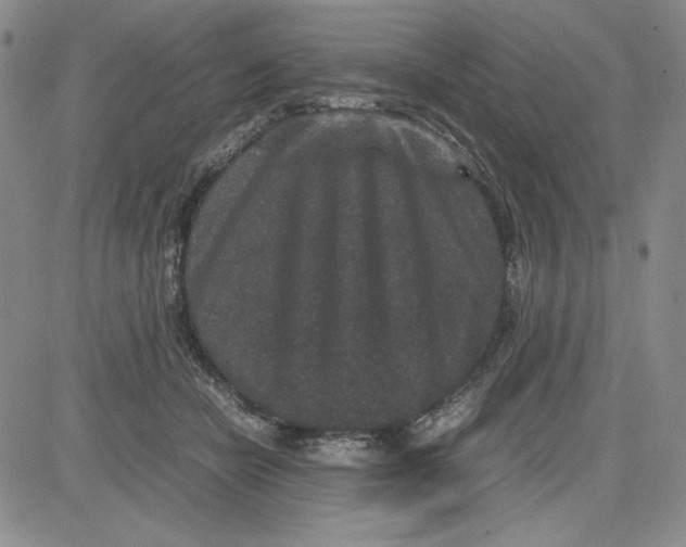 X0000080810462200701051154