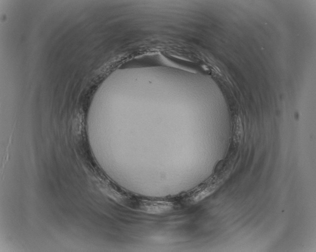 X0000080810463200701051154