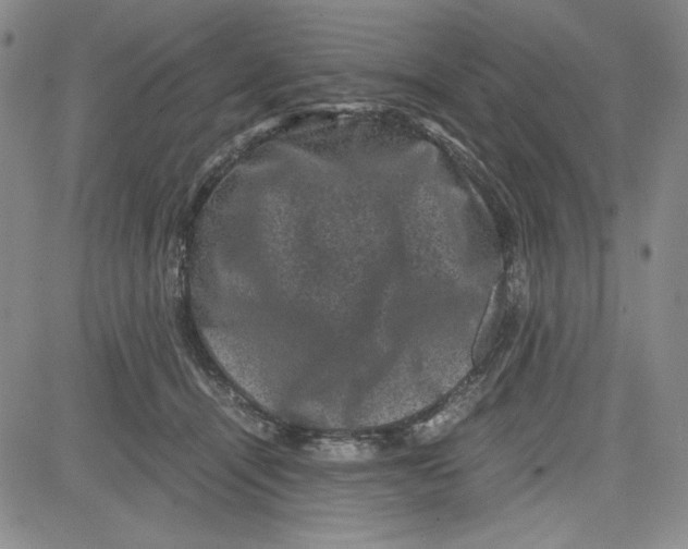 X0000080810464200701051154