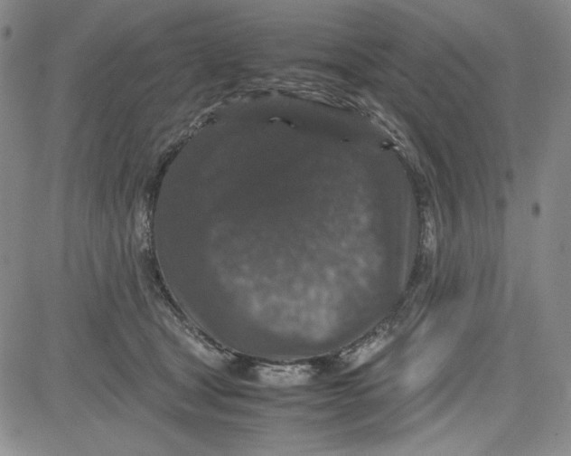 X0000080810465200701051154