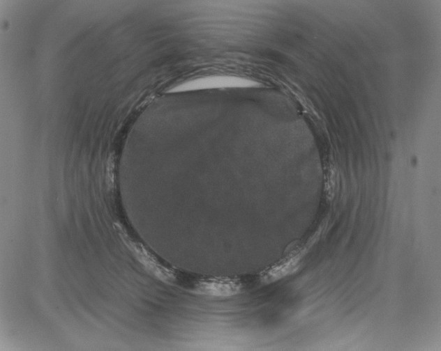 X0000080810466200701051154