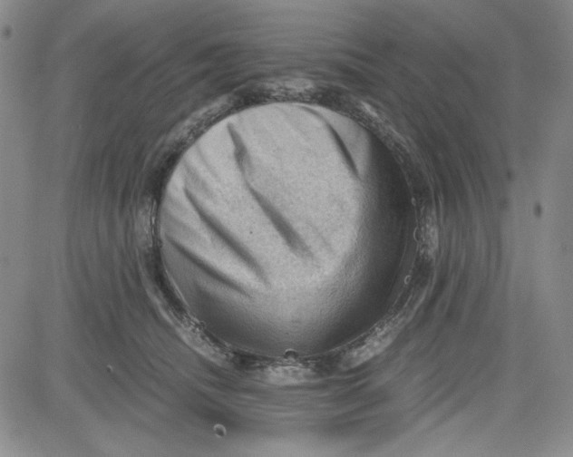 X0000080810468200701051154