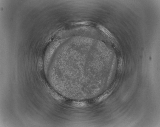 X0000080810469200701051154