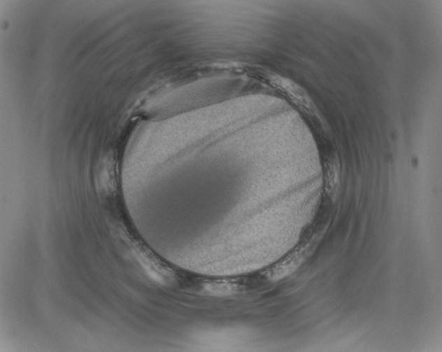 X0000080810470200701051154