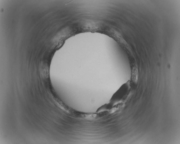 X0000080810474200701051154