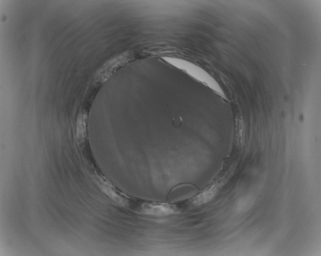 X0000080810475200701051154