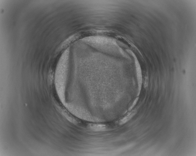 X0000080810476200701051154