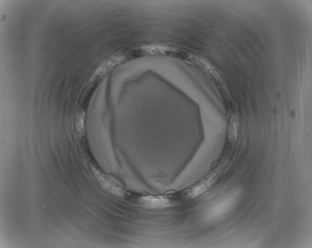 X0000080810477200701051155