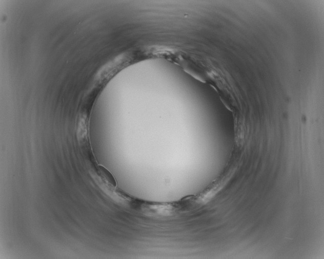 X0000080810478200701051155