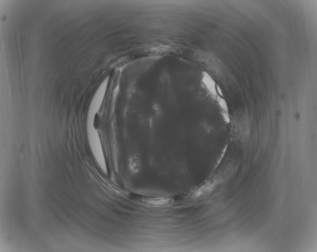 X0000080810479200701051155