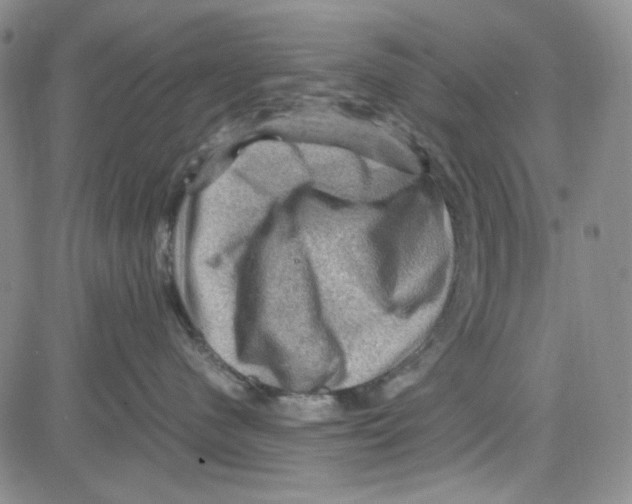 X0000080810480200701051155