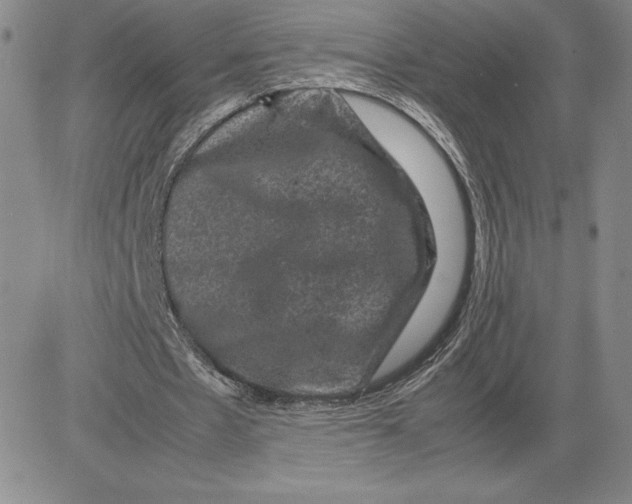 X0000080810481200701051154