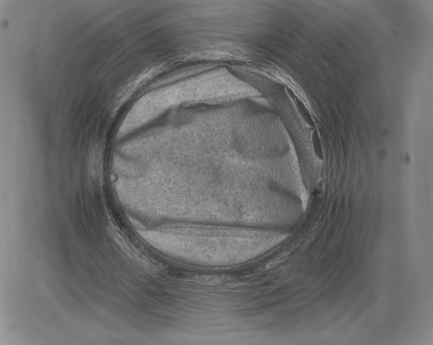 X0000080810482200701051154