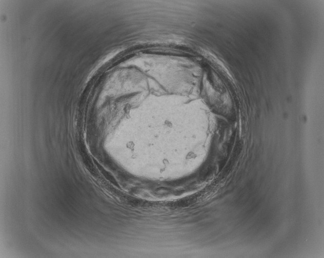 X0000080810483200701051154