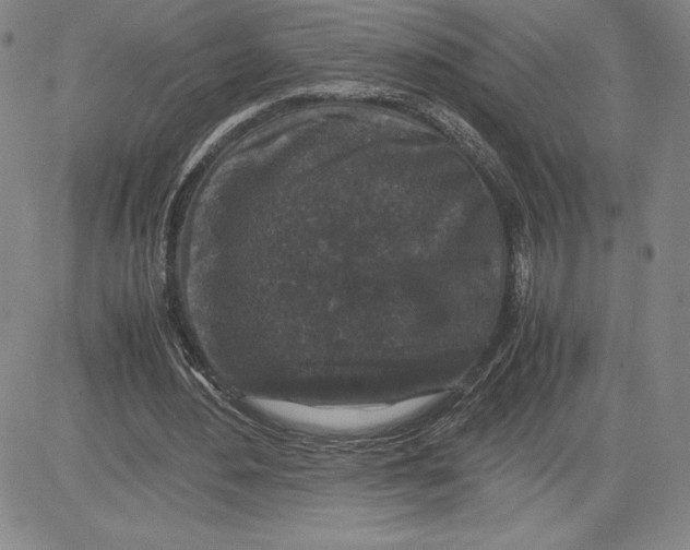 X0000080810484200701051154