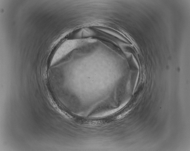 X0000080810485200701051154