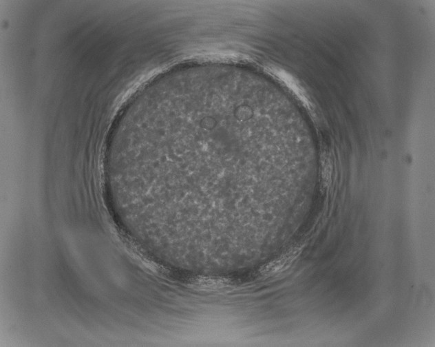 X0000080810487200701051154