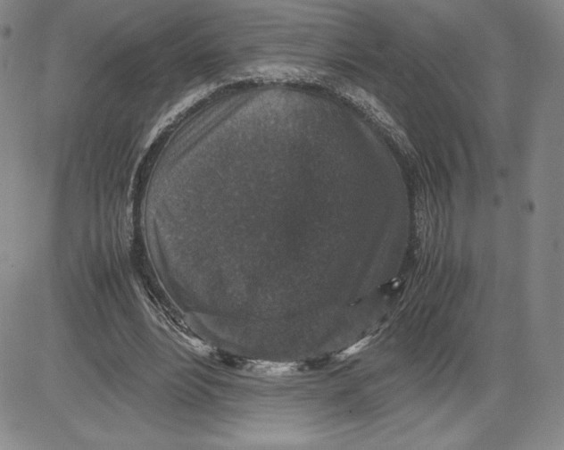 X0000080810488200701051154