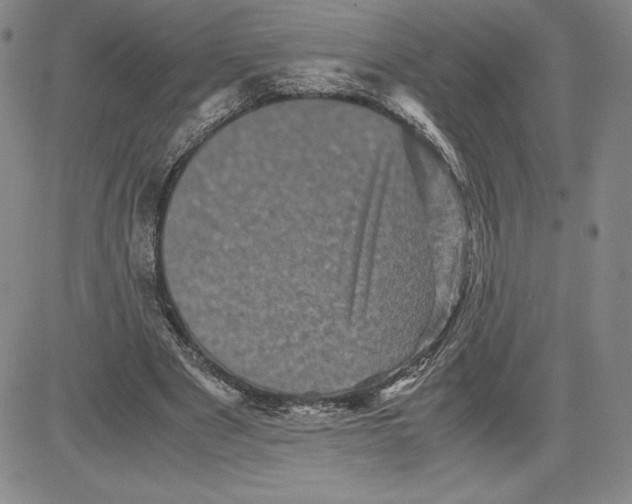 X0000080810489200701051154