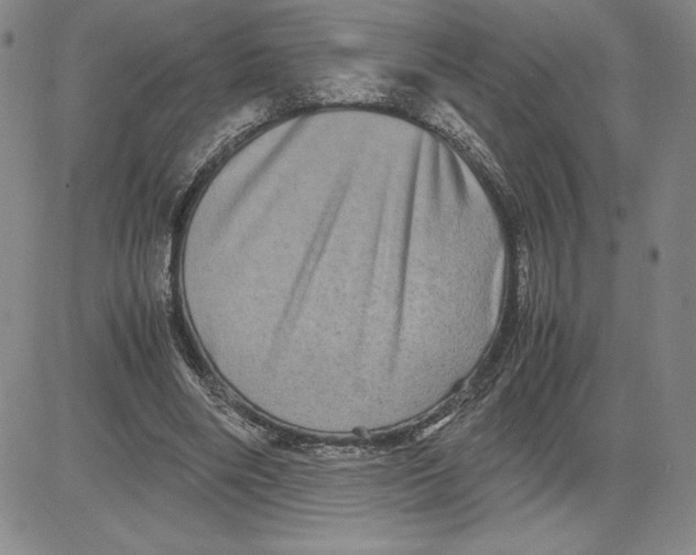 X0000080810490200701051154