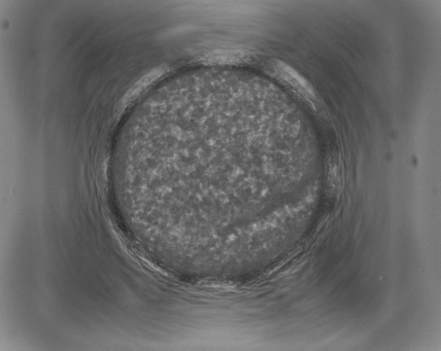 X0000080810491200701051154