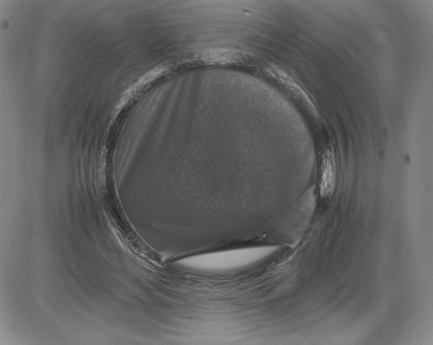 X0000080810492200701051154