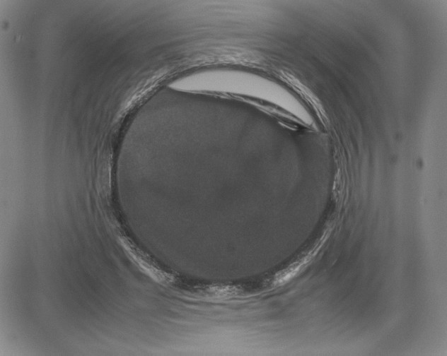 X0000080810493200701051154