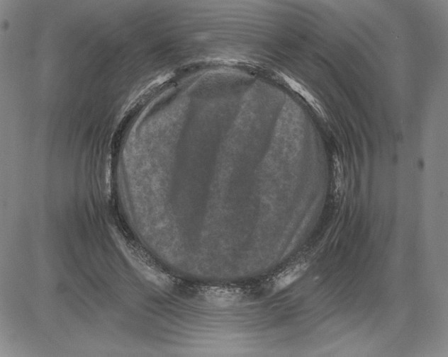 X0000080810494200701051154