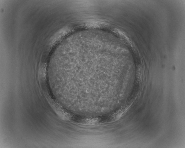 X0000080810495200701051154