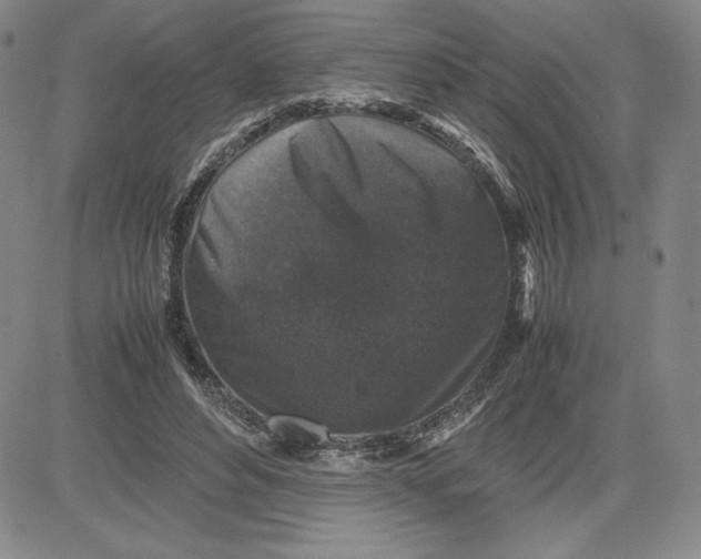 X0000080810496200701051154