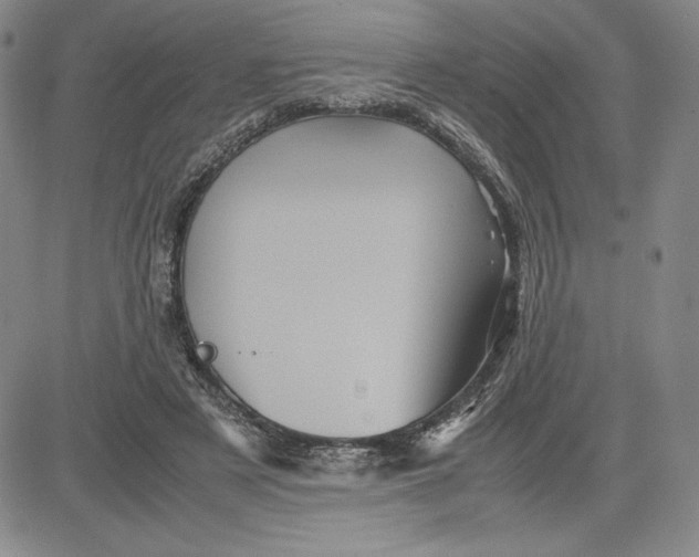 X0000080810497200701051154