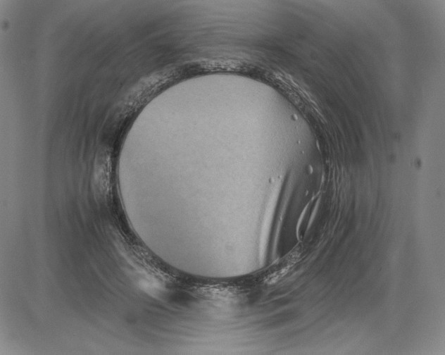 X0000080810498200701051154