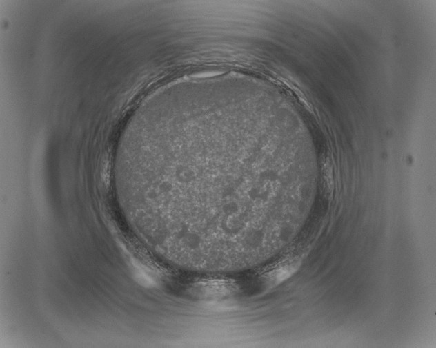 X0000080810499200701051153