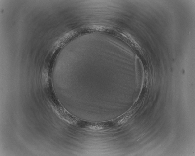 X0000080810500200701051153