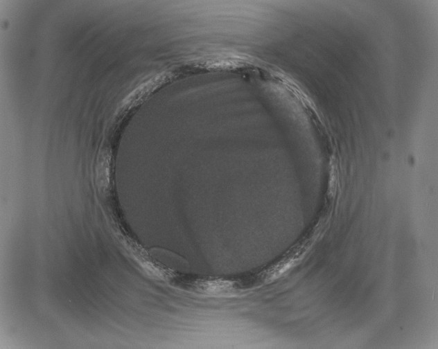 X0000080810501200701051153