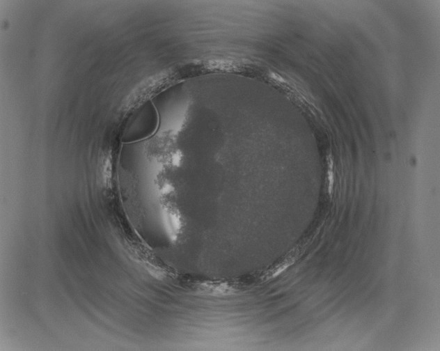 X0000080810502200701051153