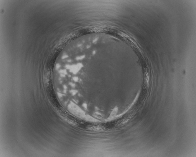 X0000080810503200701051153